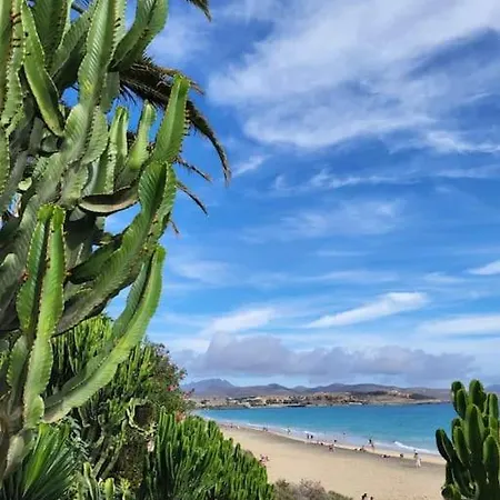 Appartamento Mit Meerblick